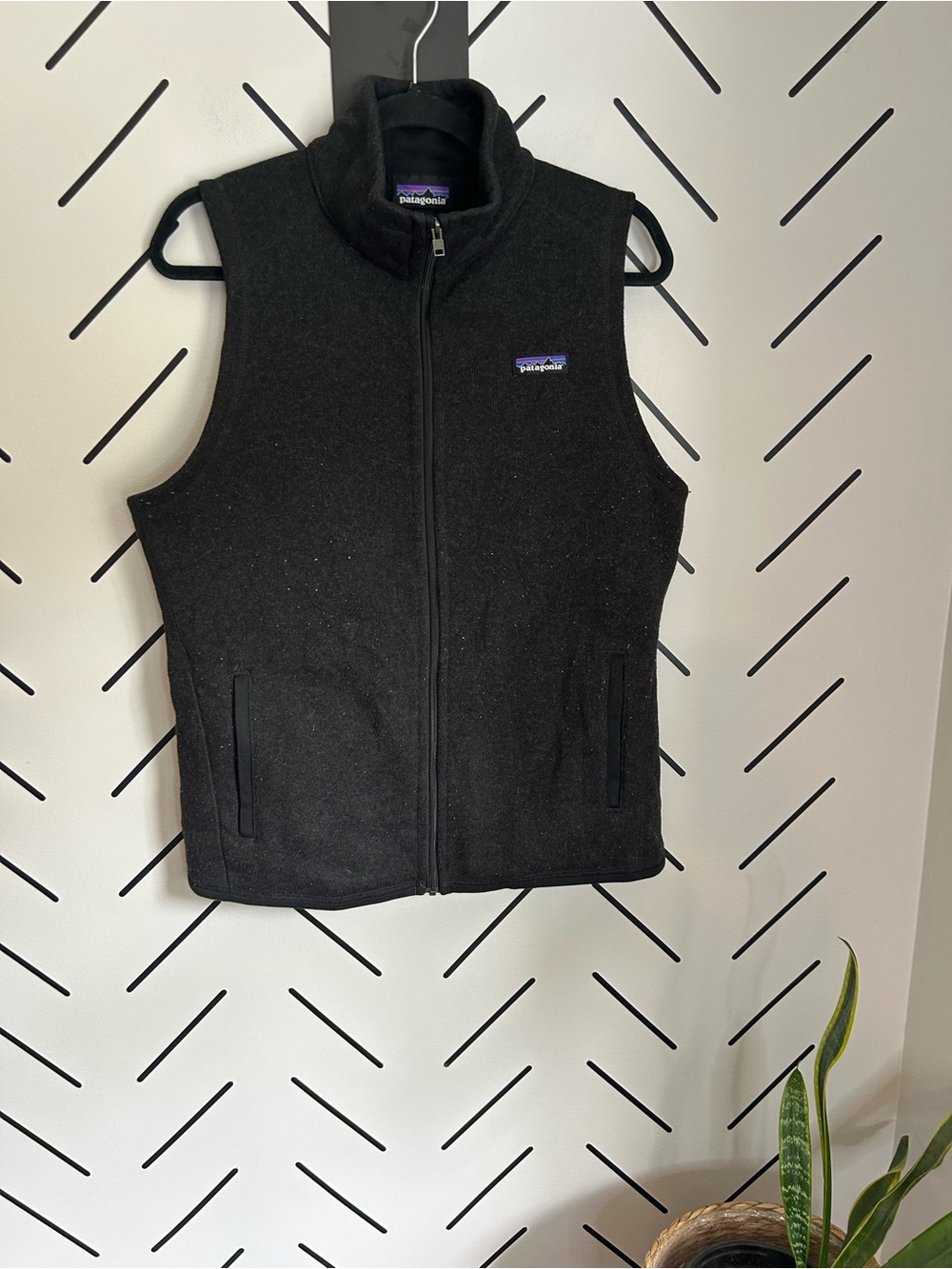 Patagonia women’s better sweater vest